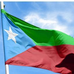 Ali_Baloch2's profile picture. 