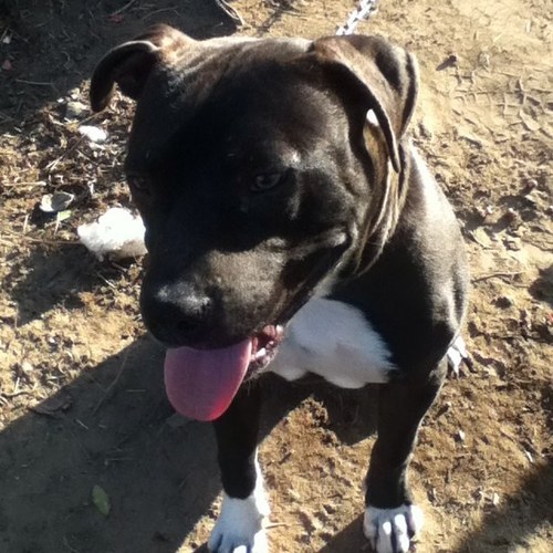 Monique_Doee's profile picture. 