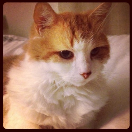 Maril_ou's profile picture. Open-minded, work-wine-laughter addicted, water lovin', freckled kind-a-tall person.