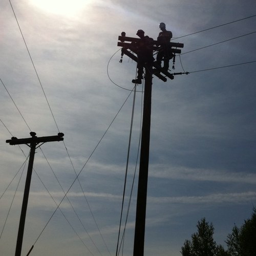 mlosier's profile picture. 