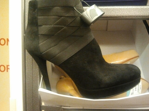 PiedPiper320's profile picture. A work in progress....