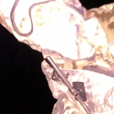 Dan Nowicki - @dannowicki37 - Twitter