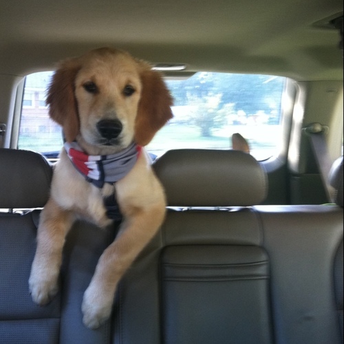 Maloof25's profile picture. Random stuff. Mostly beer and sports related.