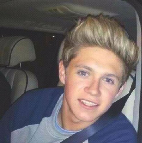 Just wondering if niall's ever seen my tweets