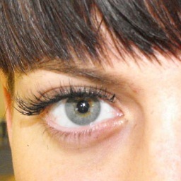 Windsor's #1 Lash Since 2008.
Book
