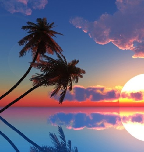 Featherleigh18's profile picture. 