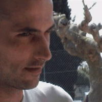 Teo Macé (@reflets) 's Twitter Profile