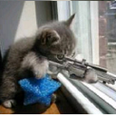 robert friederichs - @darkrobert87 - Twitter