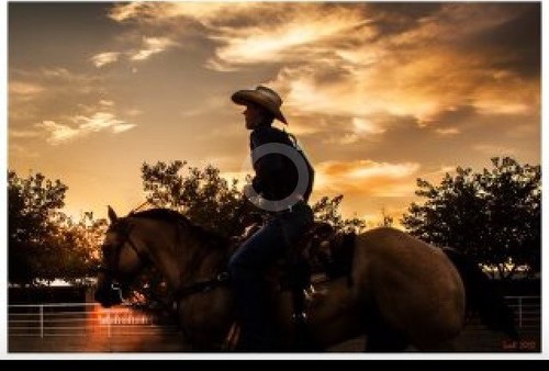 ColtonFarquer's profile picture. 