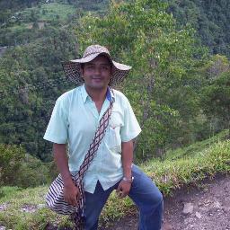NESTOR SB
