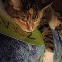 Brian Pentz - @bpentz - Twitter