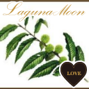 kinomikinomam's profile picture. 趣味：読書　音楽鑑賞 時計の秒針を見ること