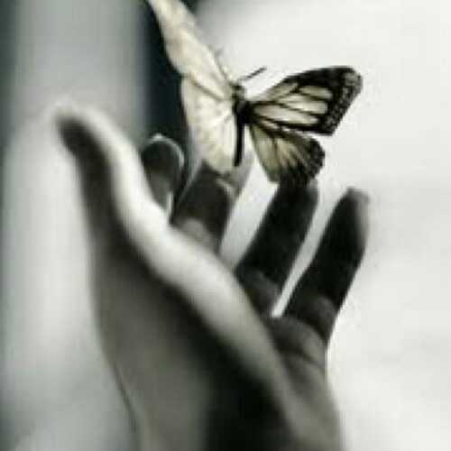 66Areej's profile picture. 