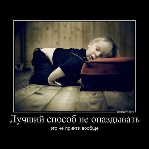 jinn1981's profile picture. люблю все интересное