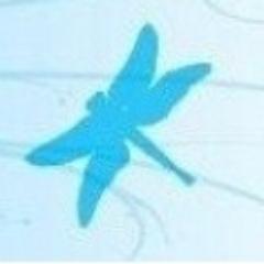 One Blue Dragonfly hand made bracelets, earrings & necklaces.