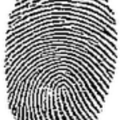 freePrivacy's profile picture. 