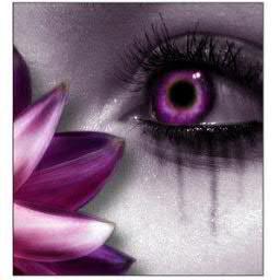 RobynWillmore Profile Picture