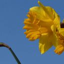 Cian Lee - @CianLee4 - Twitter