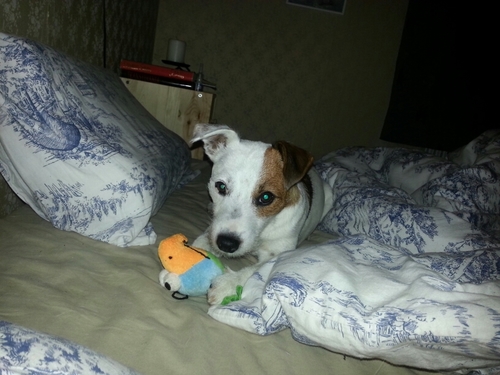 GustafsonTommy's profile picture. 