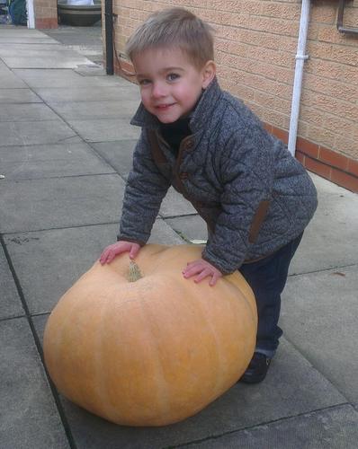 BenMeds's profile picture. York