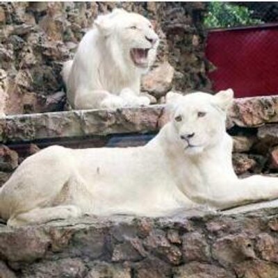 Karachi zoo images 1