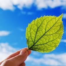 Save the enviroment. Save the world. And follow us.