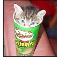 Once I've popped, I can't stop bitchiz....meow