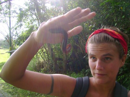 anitalabelle's profile picture. 