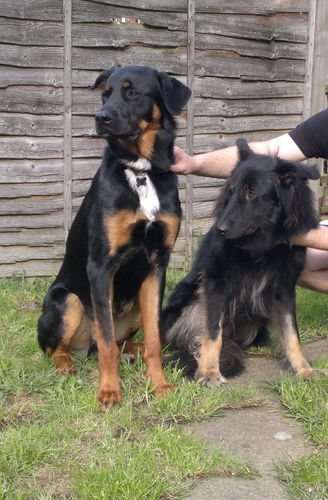 rf90044's profile picture. 