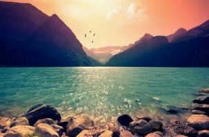 Young Wild & Free