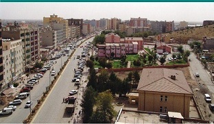 kızıltepeli, kızıltepe hayranı, qoserin gülü