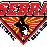 SEBRA (@gosebra) 's Twitter Profile