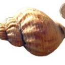 Jeff Gore - @JGore64 - Twitter