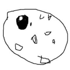 にょろ　性別:♂/誕生日:不明/種族値:30 12 70 19 85 5/性格:意地っ張り/持ち物:先制のツメ
