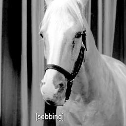 the end is neigh