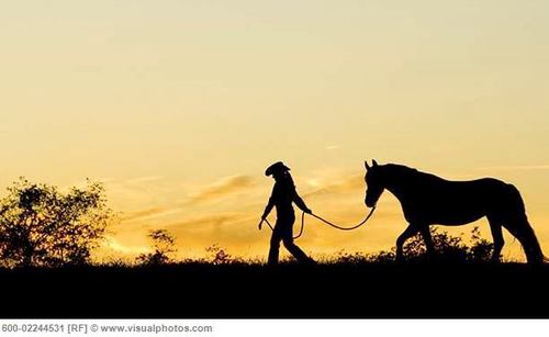 lilifeen's profile picture. 