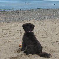 Lucy Lockett (@lucylockett7) 's Twitter Profile Photo Lucy Lockett (@lucylockett7) 's Twitter Profile Photo