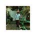 Gunungsitorus (@081388040477) Twitter