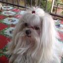 ANNA FORMISANO - @ANNUCCIA13 - Twitter