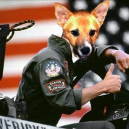 CrashnBurn115's profile picture. America, Bears, Buckeyes