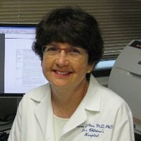 Sharon Plon (@splon) 's Twitter Profile