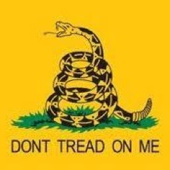 American, conservative, constitutionalist. Working to restore America's greatness #tcot
