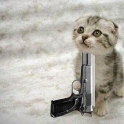 cat herder, petrolhead and father of a ex-perfect little girl . Now a grumpy student.