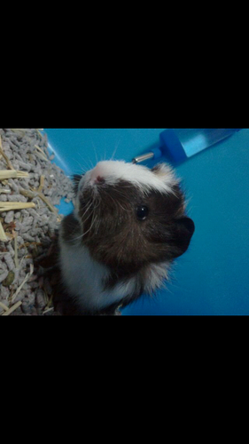 JerlynBai's profile picture. what comes around, goes around.