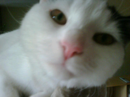 jane_mcvicker's profile picture. 