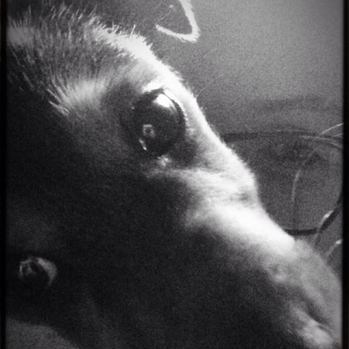 jennymarie_89's profile picture. history teacher and mama in the making