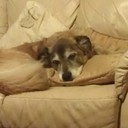 Diane Millar - @DiMillar - Twitter