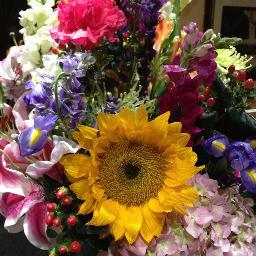 Renegade782003's profile picture. Renegade, rebel and rogue ;-)