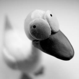 digitheduck's profile picture. Creative. Prolific. World traveler. And a duck. Photo by Kevin Dooley (thanks Kevin!) Yip.