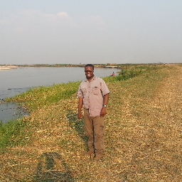 pmshankaya's profile picture. 